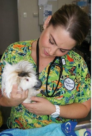 vet tech assistant wearing veterinary scrub top